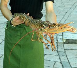 Pompano Seafood Festival